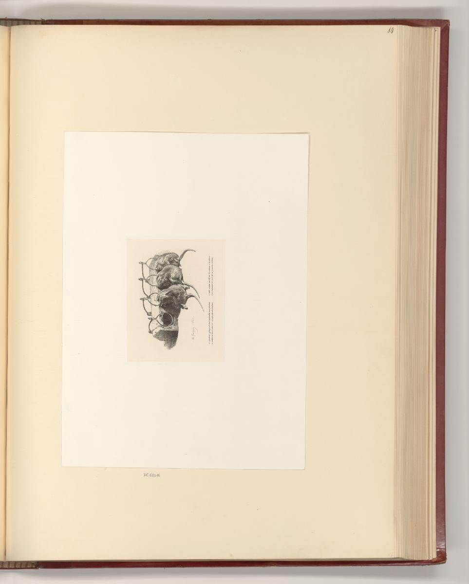 Alexandre Calame; Charles Emile Jacque; Honoré Daumier, Mausefalle mit drei Mäusen, Inv. Nr.: F…