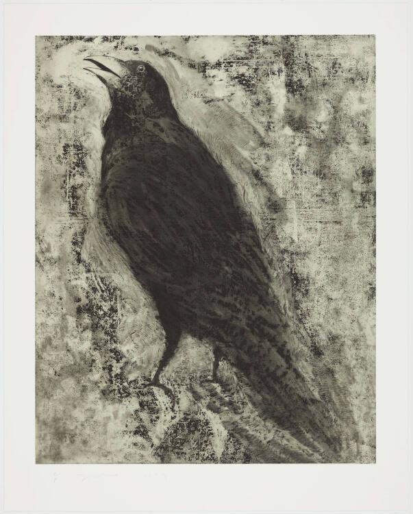 Jim Dine , Crow # 1, Inv. Nr.: DG2022/248