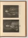 Schabblätter von John Faber, Porträt George Stepney; Porträt Arutin George, Inv. Nr.: England n…
