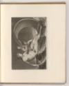 Schabblätter von Valentine Green, Venus on the Sea, Inv. Nr.: England nach Sektionen I/7, E/I/7…