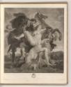 Schabblätter von Valentine Green, Castor and Pollux carrying off the Daughters of Leucippus, In…