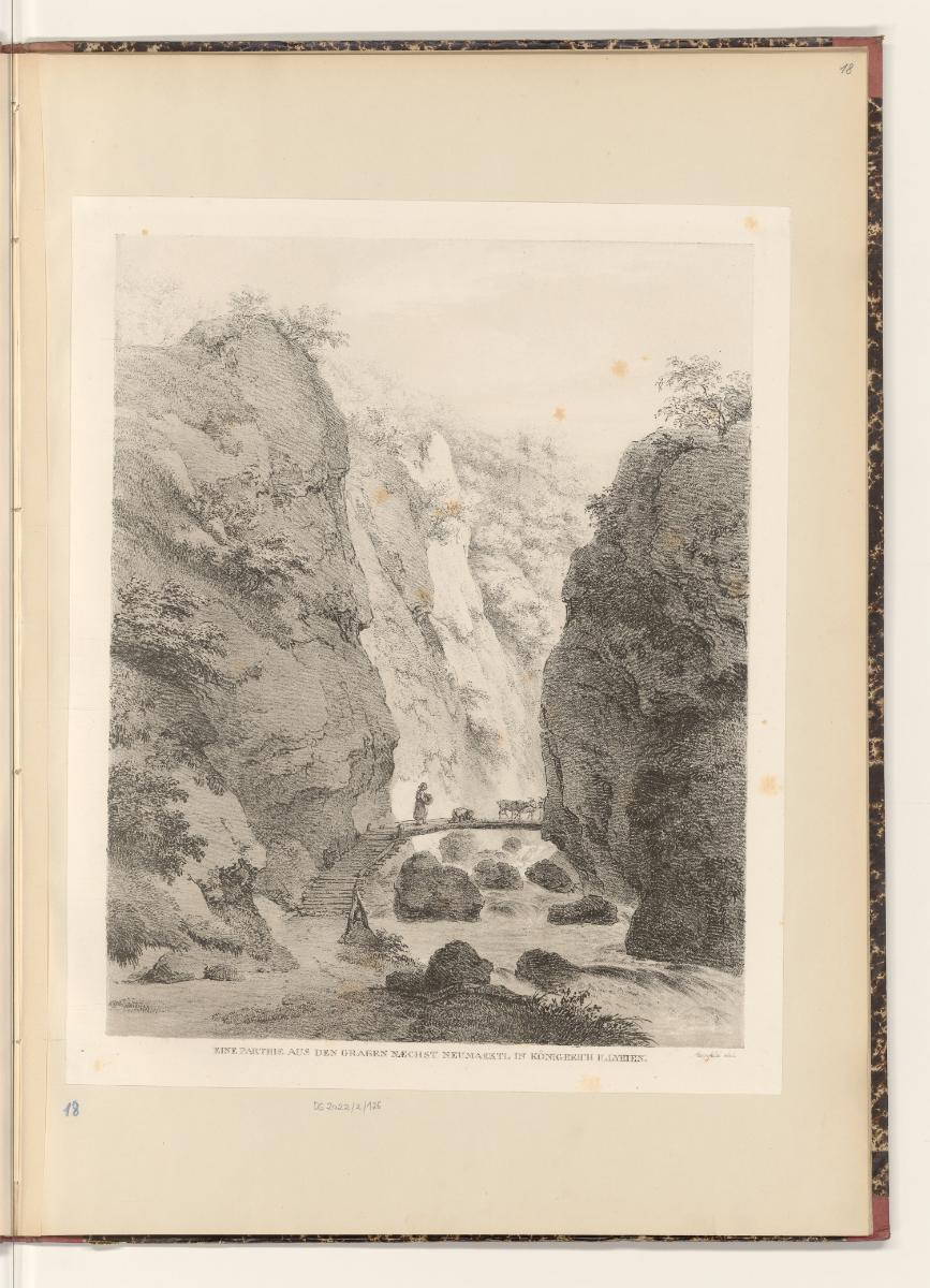 Eine Parthie aus den Graben naechst Neumarktl in Königreich Illyrien, Inv. Nr.: ÖK/Steinfeld/18