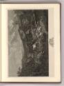 Britische Druckgrafik des 18. Jahrhunderts, A View of Tivoli, Inv. Nr.: England nach Sektionen …