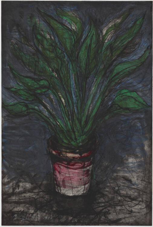 Jim Dine , A Well Painted Strelitzia, Inv. Nr.: DG2022/136
