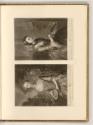 Schabblätter von Thomas Frey, Richard Houston und Joseph Saunders, Water; Fire, Inv. Nr.: Engla…
