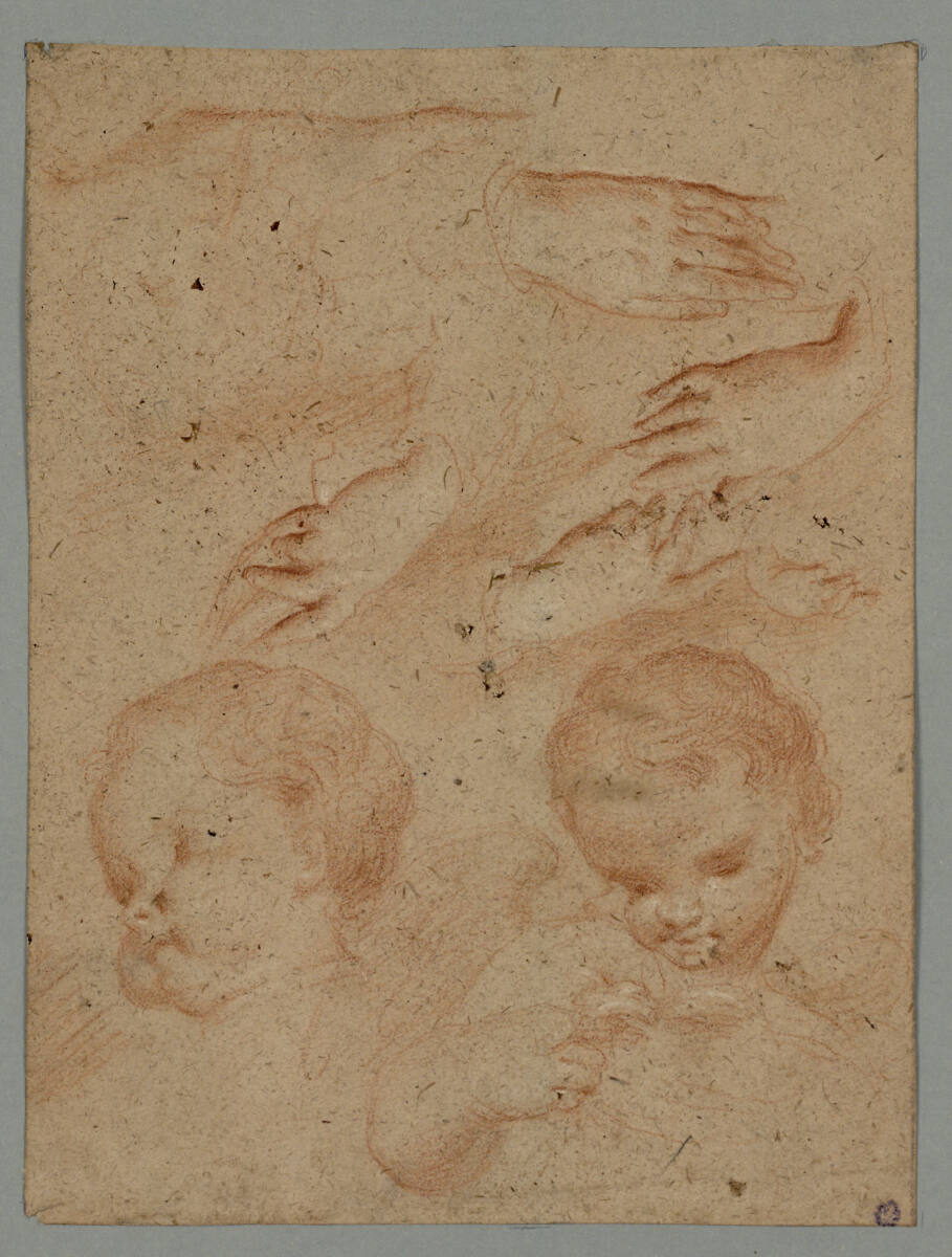 Kopf- und Handstudien, Antonio da Correggio
