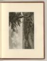 Britische Druckgrafiken des späten 18. Jahrhunderts, South view of Windsor, taken from the Grea…