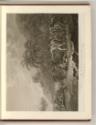 Britische Druckgrafiken des späten 18. Jahrhunderts, The Death of Captain Cook, Inv. Nr.: Engla…