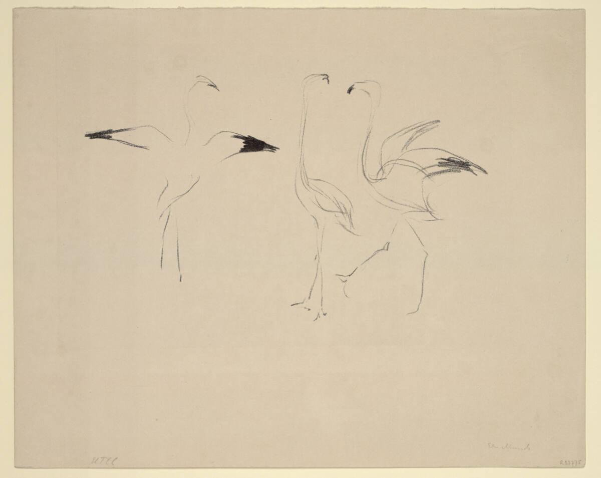 Drei Flamingos, Edvard Munch, 1908–1909