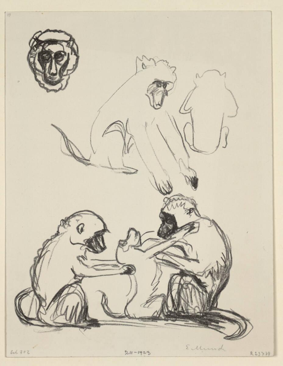 Edvard Munch, Affen II, Inv. Nr.: DG1923/211