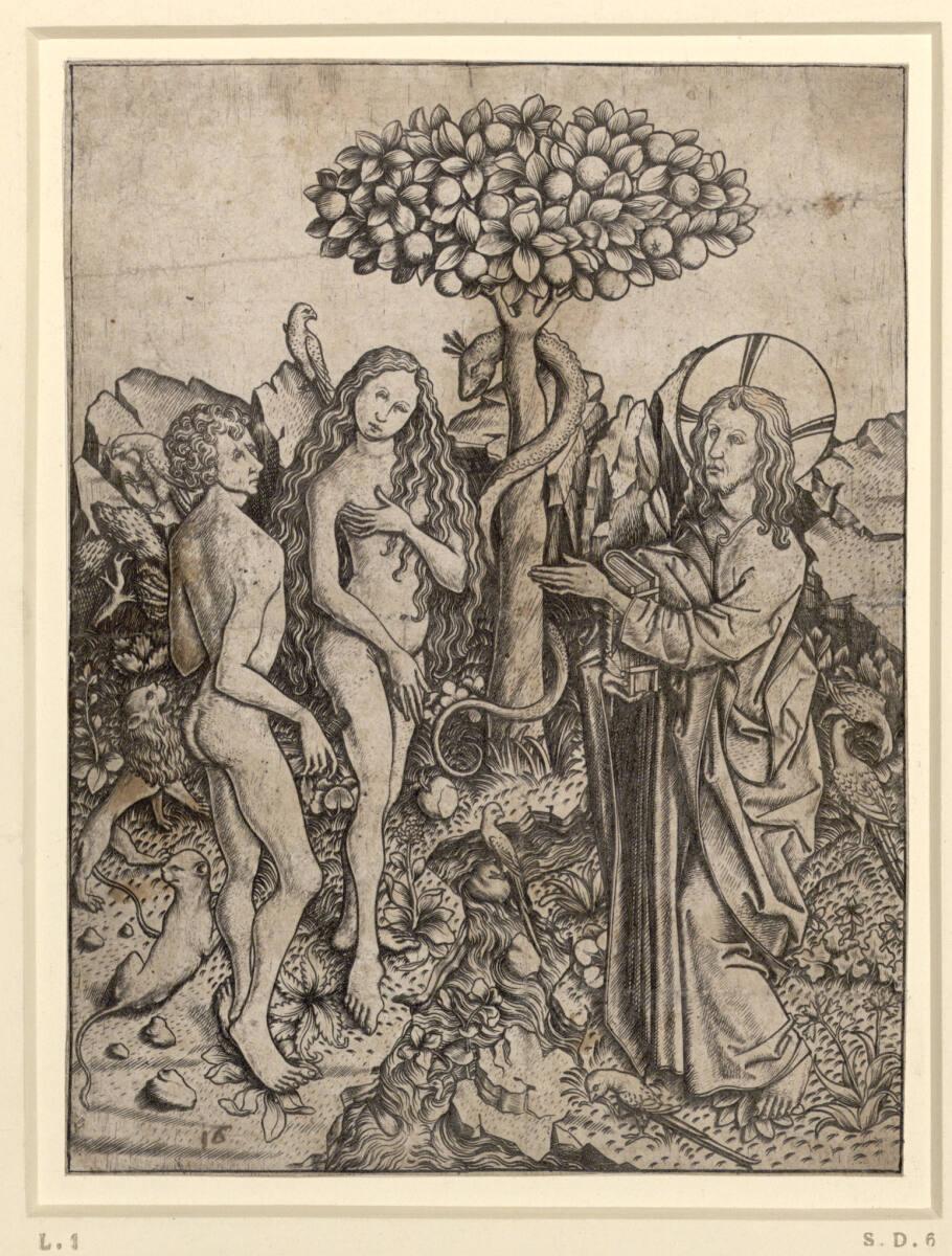 Meister E.S., Der Sündenfall, Inv. Nr.: DG1926/682
