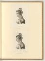 Druckgrafiken von William Sharp, Septimia Bathzabbai Zenobia, Inv. Nr.: England nach Sektionen …