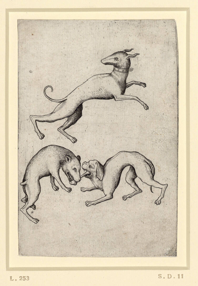 Hunde-Drei, Master E. S.