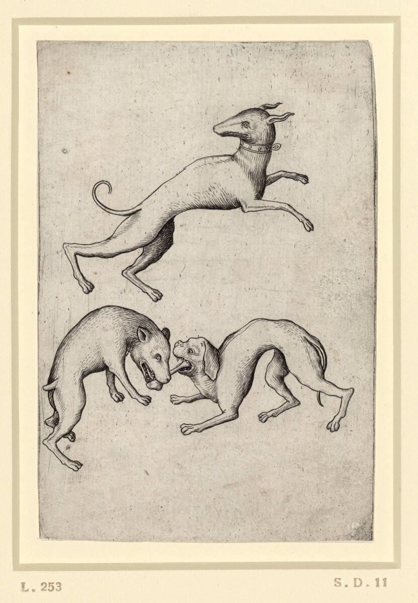 Meister E.S., Hunde-Drei, Inv. Nr.: DG1926/802