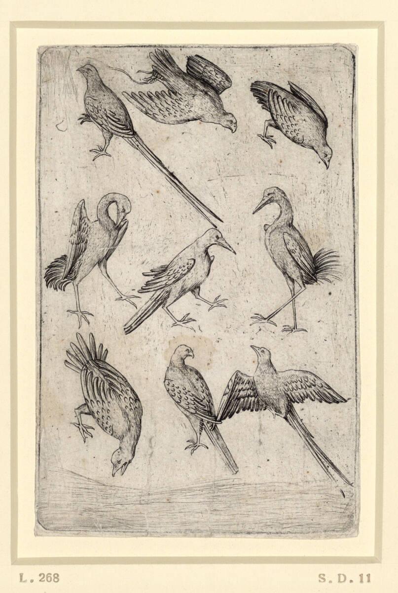 Meister E.S., Vogel-Neun, Inv. Nr.: DG1926/803