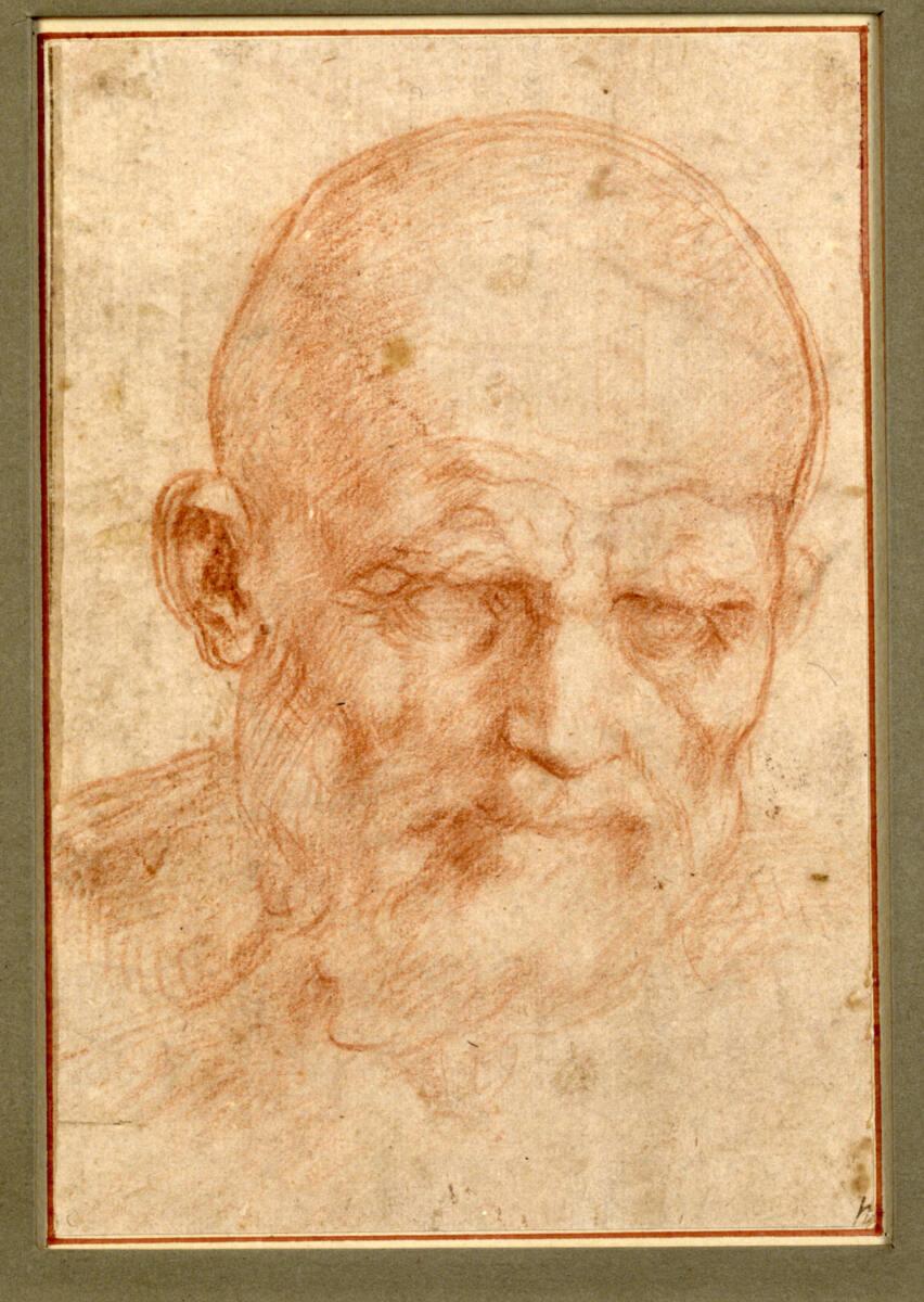 Andrea del Sarto, Kopf eines kahlköpfigen alten Mannes mit Bart, Inv. Nr.: 163