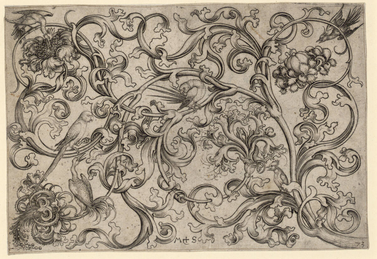 Horizontales Ornament mit Papageien und anderen Vögeln, Martin Schongauer