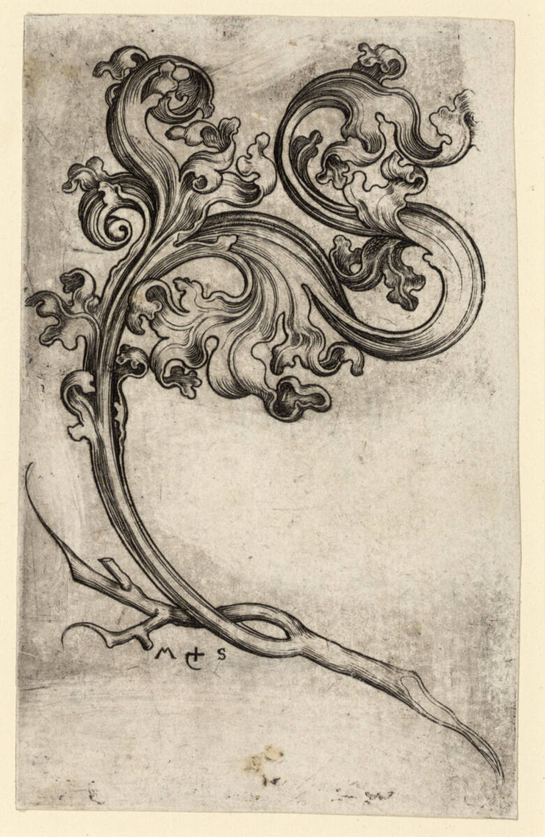 Blattornament, Martin Schongauer