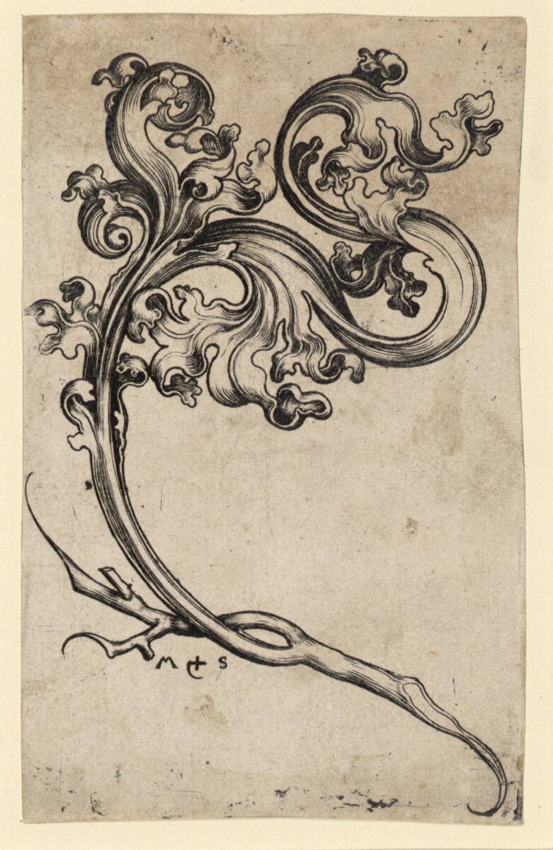 Blattornament, Martin Schongauer