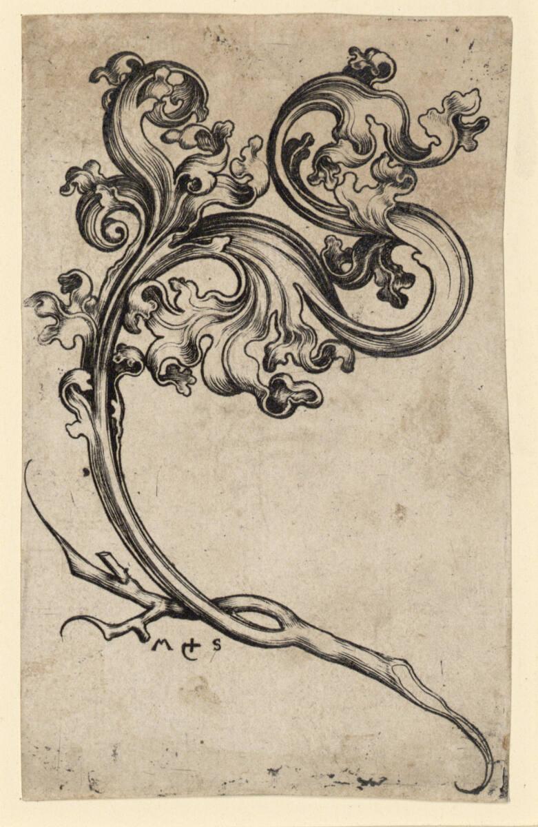 Martin Schongauer, Blattornament, Inv. Nr.: DG1926/1555
