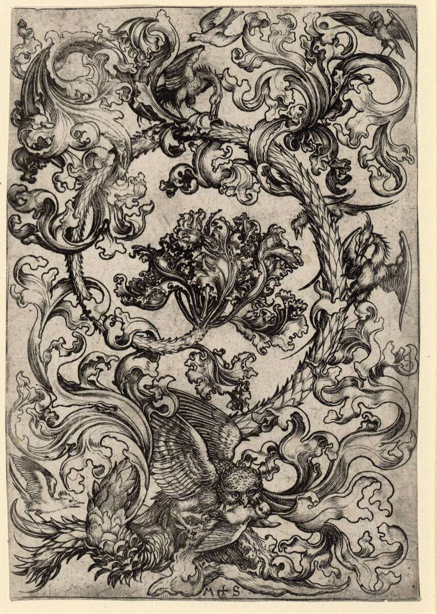 Ornament mit Eule und anderen Vögeln, Martin Schongauer