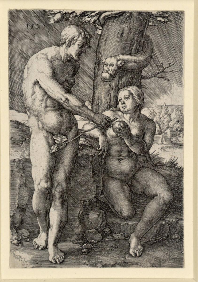 Lucas Hugensz. van Leyden, Der Sündenfall, Inv. Nr.: DG1926/1898