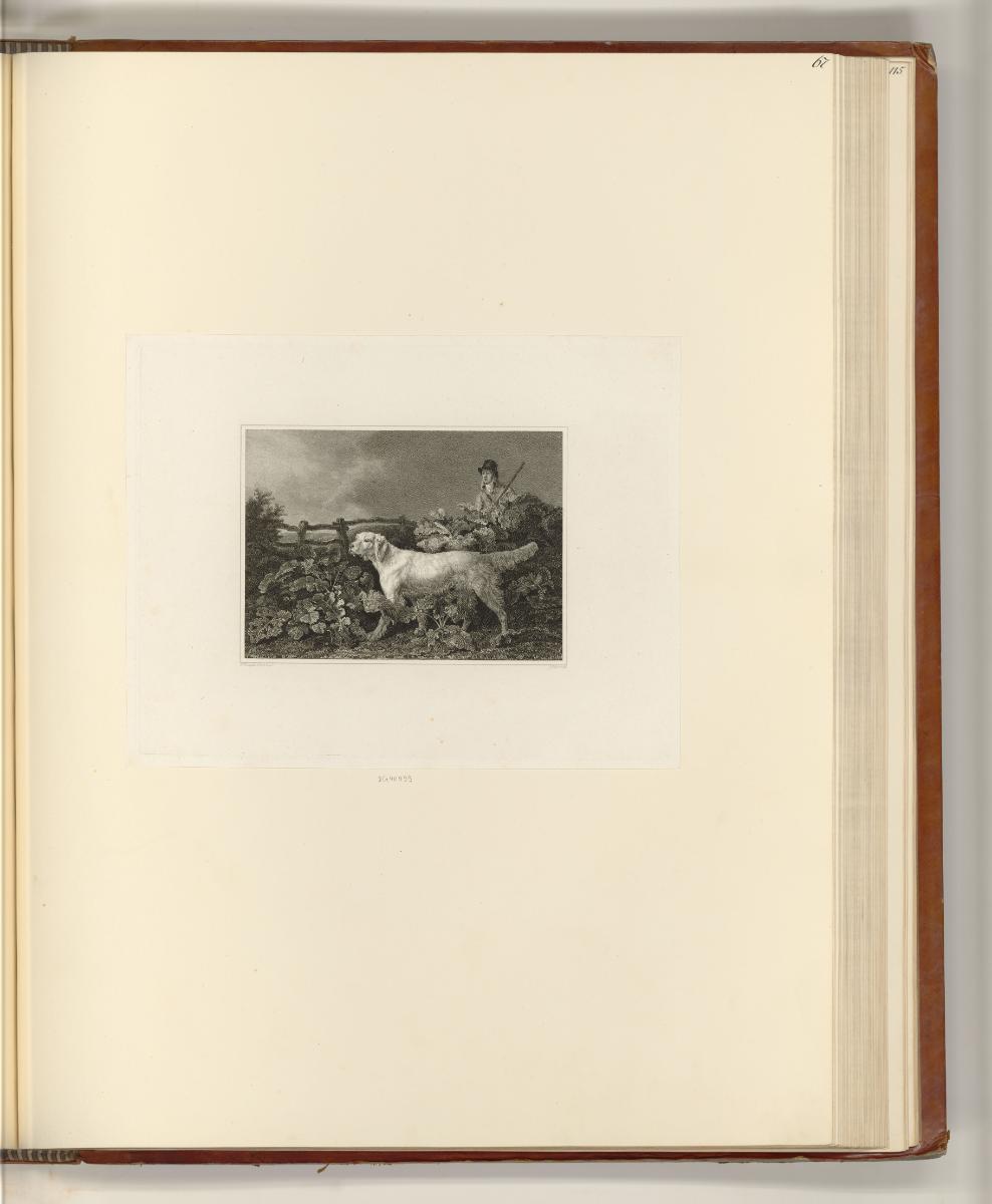 Britische Druckgrafiken des späten 18. und frühen 19. Jahrhunderts, Hund, Inv. Nr.: England nac…