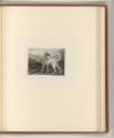 Britische Druckgrafiken des späten 18. und frühen 19. Jahrhunderts, Hund, Inv. Nr.: England nac…