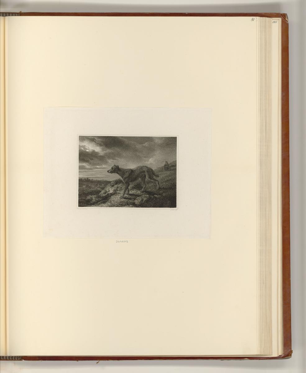 Britische Druckgrafiken des späten 18. und frühen 19. Jahrhunderts, Hund, Inv. Nr.: England nac…