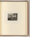 Britische Druckgrafiken des späten 18. und frühen 19. Jahrhunderts, Hund, Inv. Nr.: England nac…