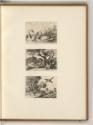 Britische Druckgrafiken des 17. und 18. Jahrhunderts, Tiere, Inv. Nr.: England nach Sektionen I…