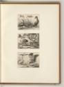Britische Druckgrafiken des 17. und 18. Jahrhunderts, Tiere, Inv. Nr.: England nach Sektionen I…