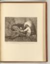 Britische Radierungen des 18. Jahrhunderts, The Captive, Inv. Nr.: England nach Sektionen II/5,…