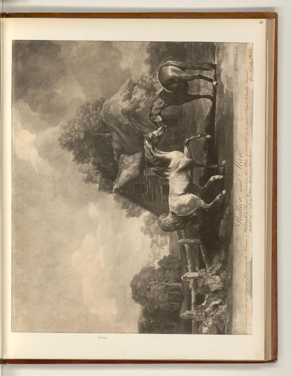 Britische Druckgrafiken aus der 2. Hälfte des 18. Jahrhunderts, Stallion and Mare, Inv. Nr.: En…