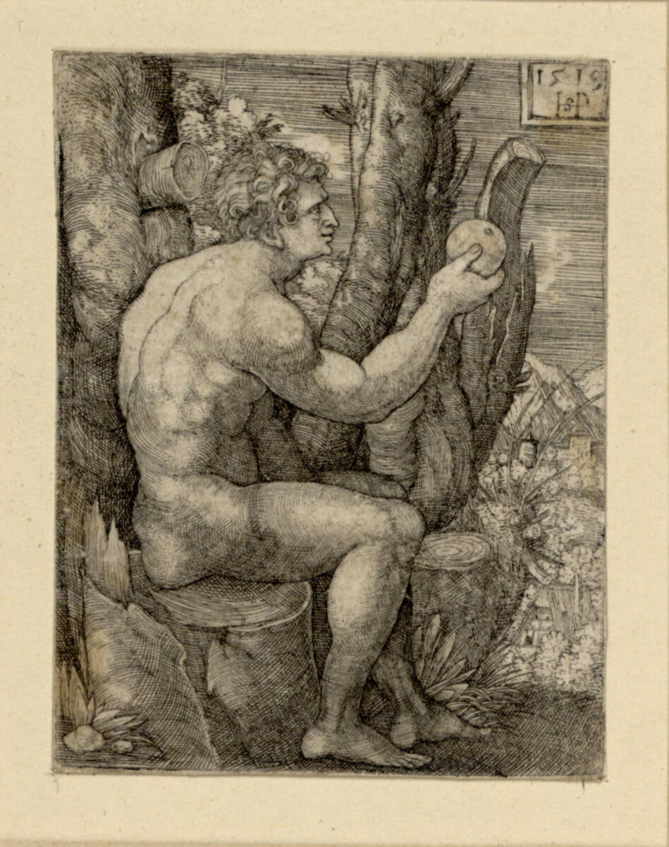 Adam, Hans Sebald Beham, 1519