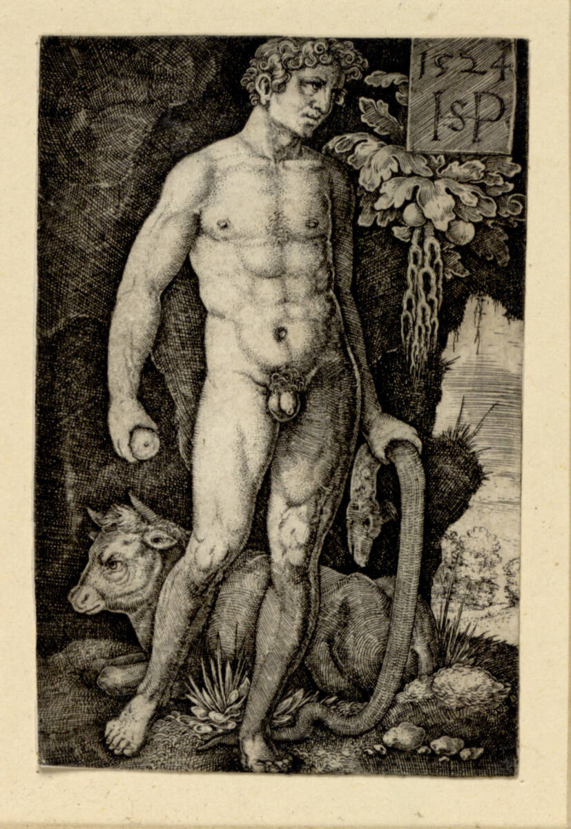 Adam, Hans Sebald Beham, 1524