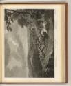 Britische Druckgrafiken des späten 18. Jahrhunderts, Hunting Plate II., The Chase, Inv. Nr.: En…