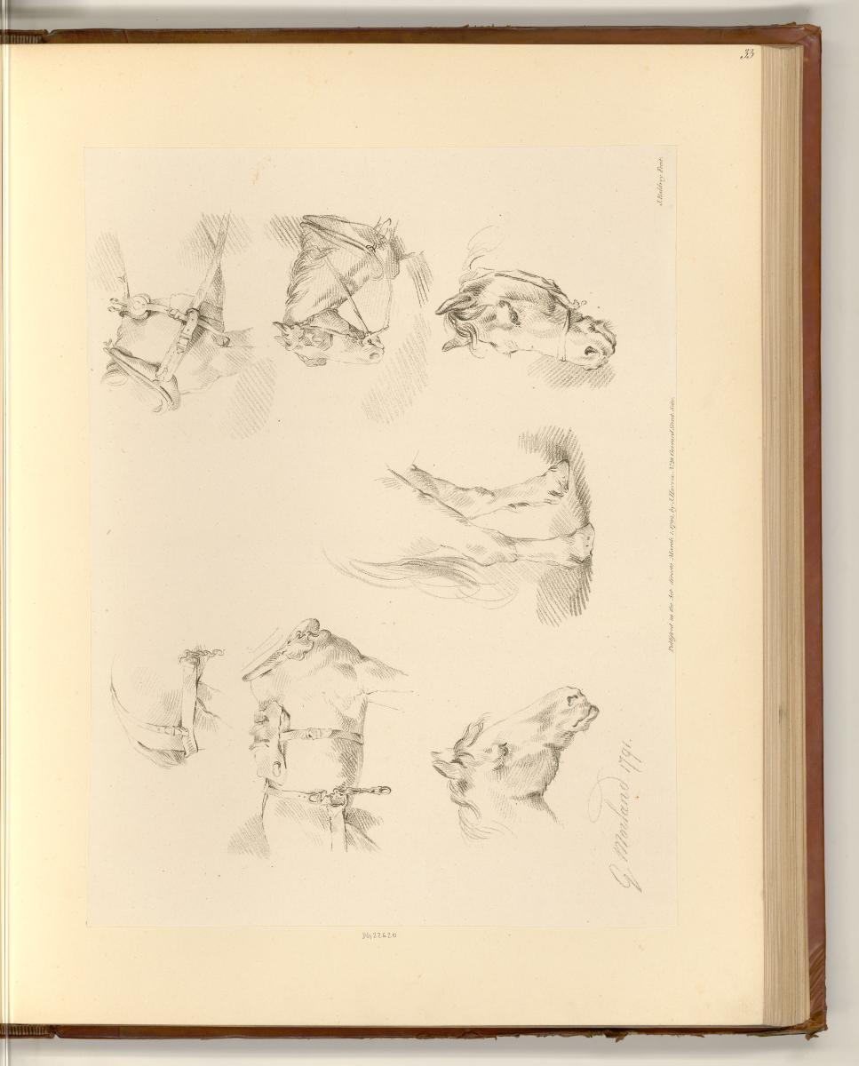 Druckgrafiken nach George Morland, Studien eines Pferdes, Inv. Nr.: England nach Sektionen II/2…