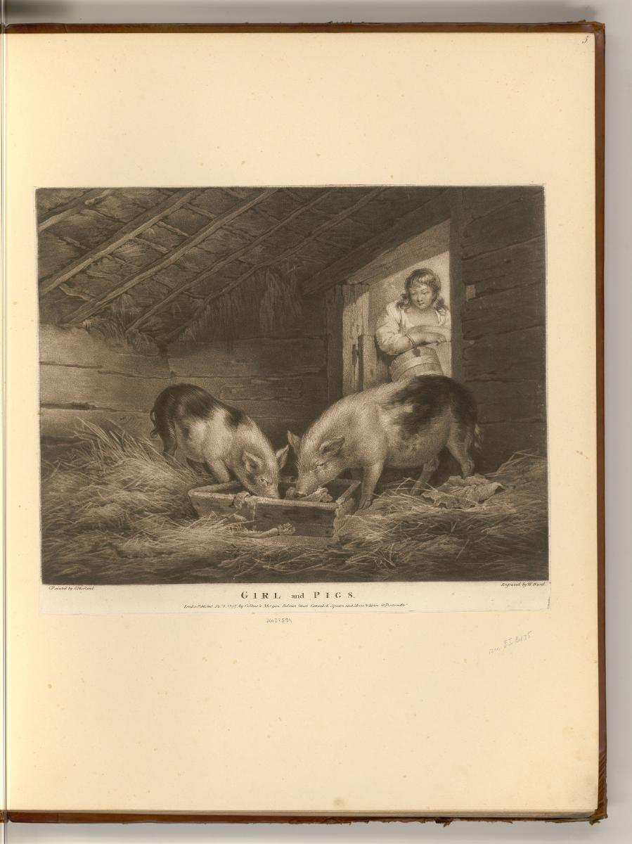 Druckgrafiken nach George Morland, Girl with Pigs, Inv. Nr.: England nach Sektionen II/24, E/II…
