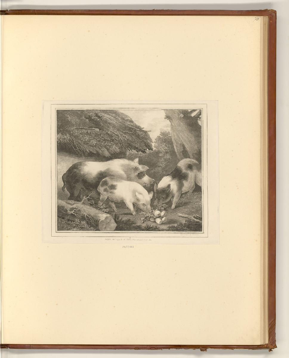 Druckgrafiken nach George Morland, Drei Schweine mit Rüben, Inv. Nr.: England nach Sektionen II…
