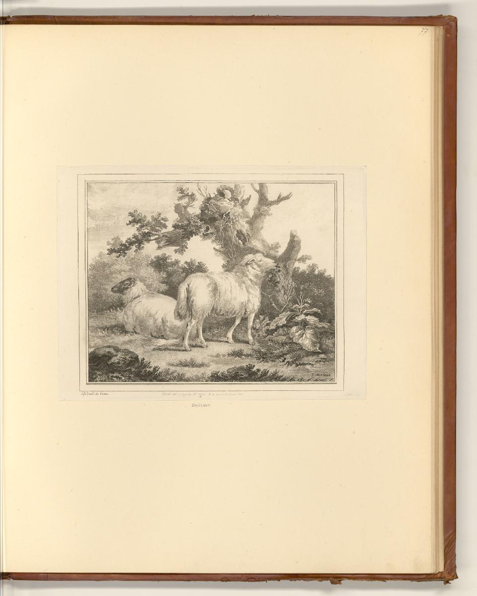 Druckgrafiken nach George Morland, Landschaft mit zwei Schafen, Inv. Nr.: England nach Sektione…