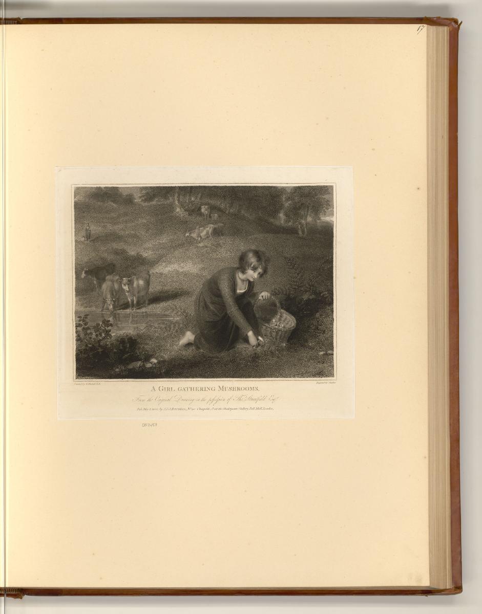 Druckgrafiken nach Richard Westall, A Girl Gathering Mushrooms, Inv. Nr.: England nach Sektione…