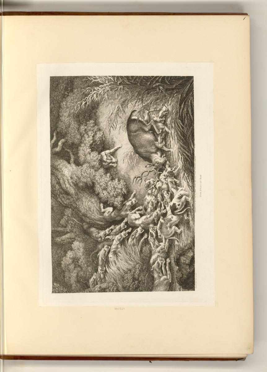Britische Druckgrafik des späten 18. und der 1. Hälfte des 19. Jahrhunderts, The Stag at Bay, I…