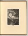 Britische Druckgrafik des frühen 19. Jahrhunderts, Echo, Inv. Nr.: England nach Sektionen II/30…
