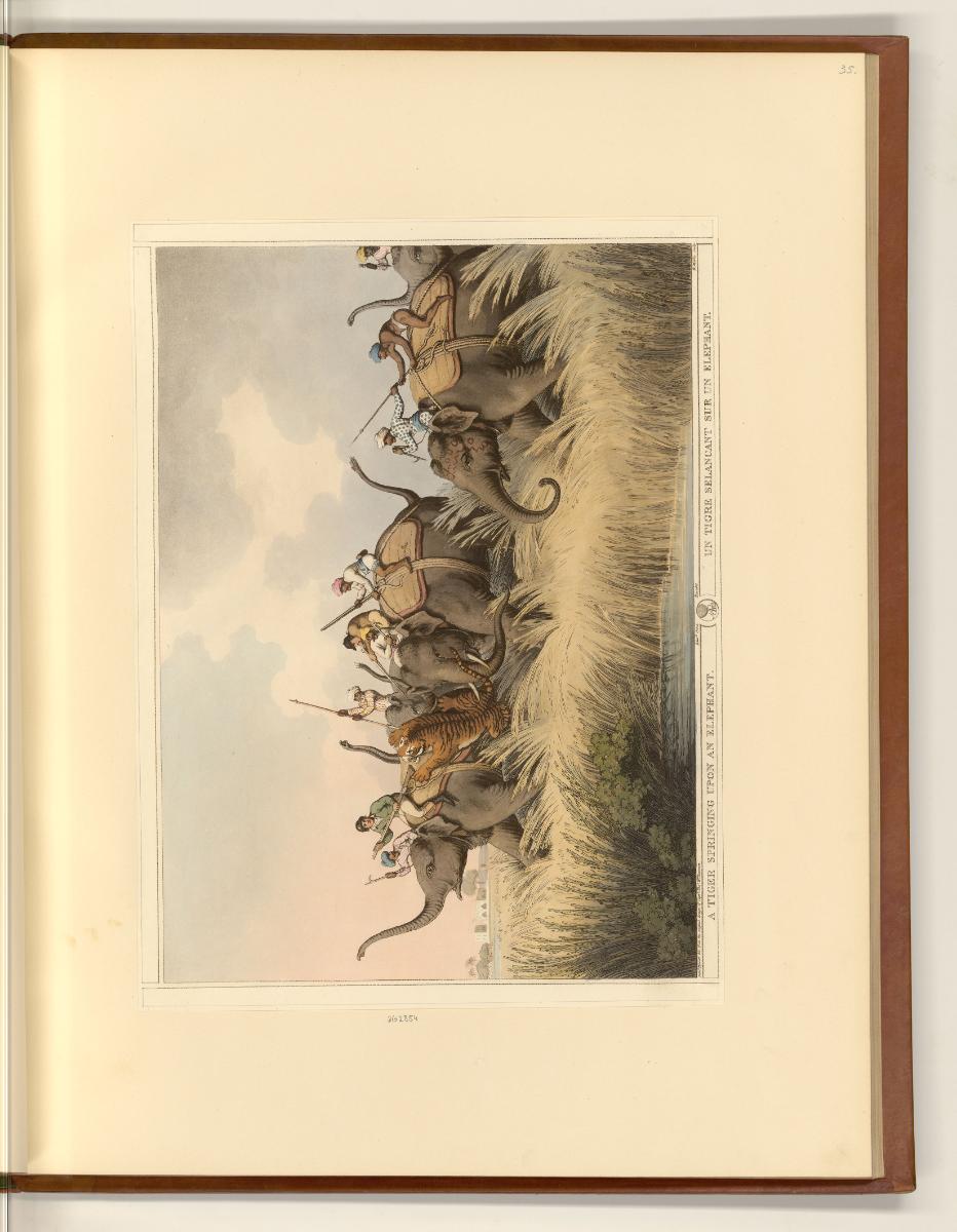Britische Druckgrafik des frühen 19. Jahrhunderts mit indischen und griechischen Sujets, A Tige…