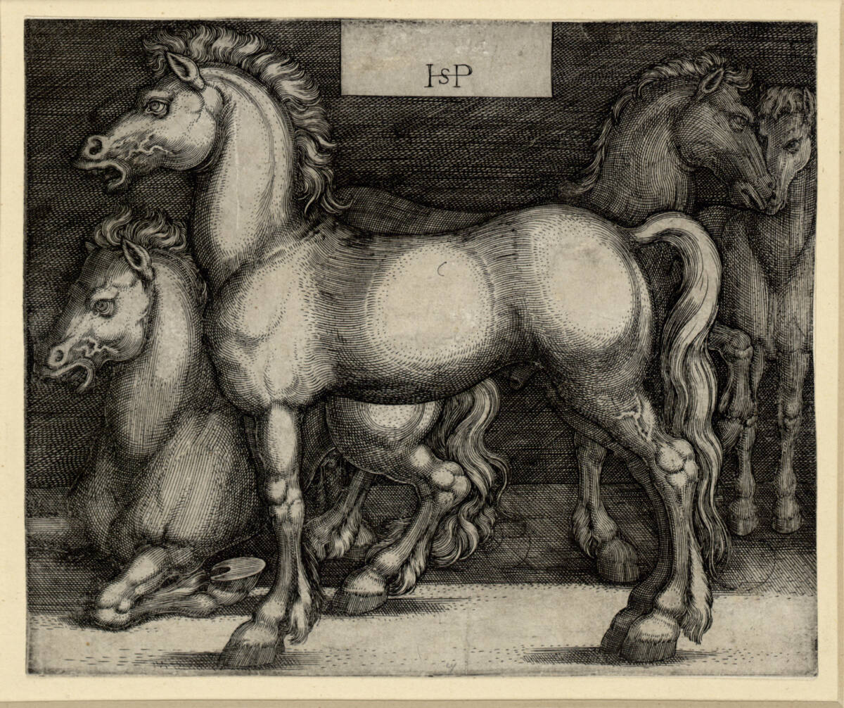 Vier Pferde, Hans Sebald Beham