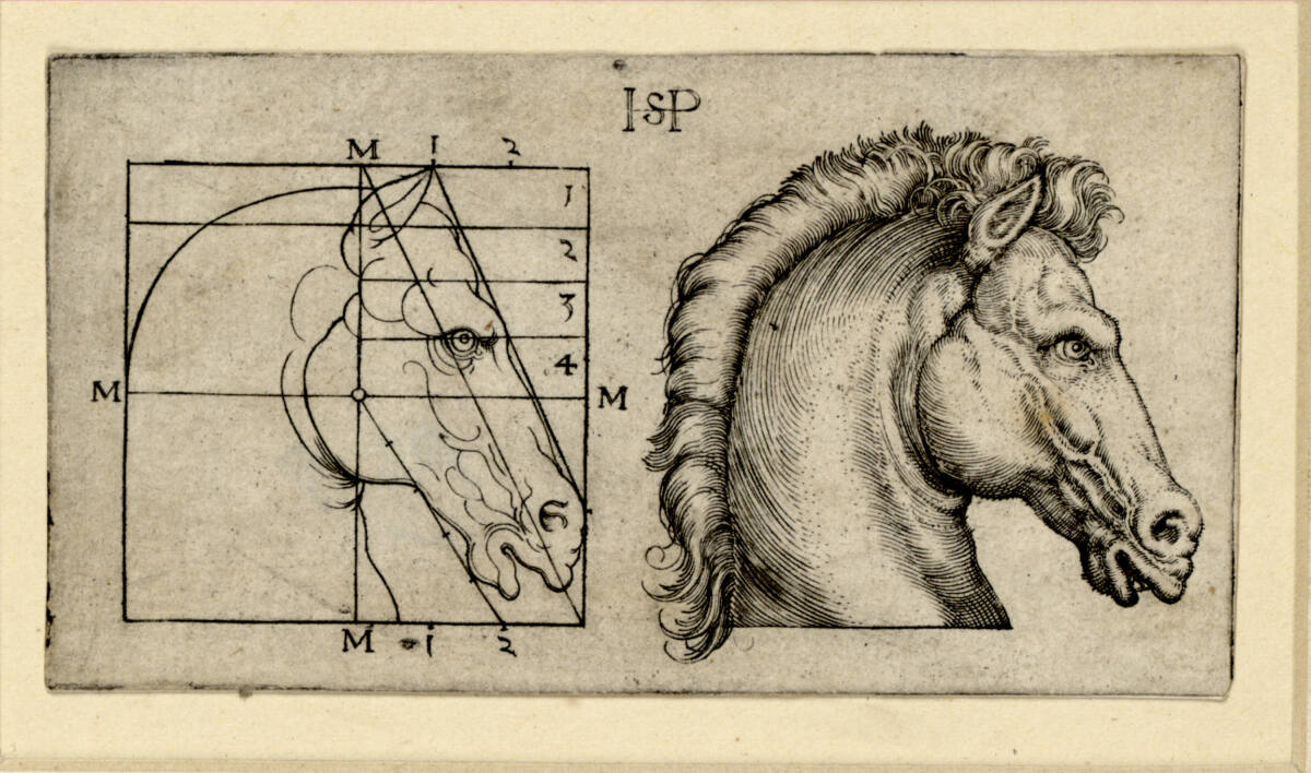 Zwei Pferdeköpfe, Hans Sebald Beham