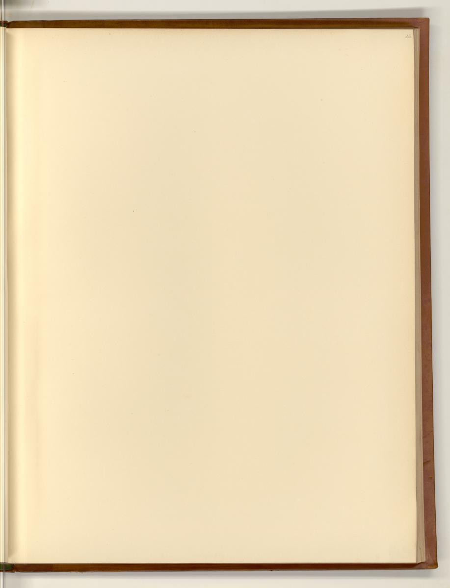 Britische Aquatinta um 1800 mit Ansichten von Indien und Sri Lanka, Leerseite, Inv. Nr.: Englan…