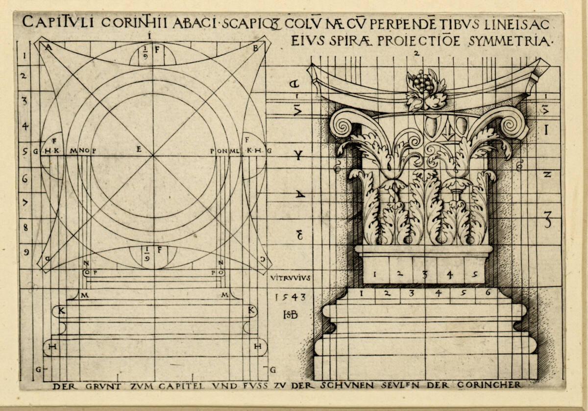 Sebald Beham, Grundriss und Aufriss des Kapitells und der Basis einer korinthischen Säule, Inv.…