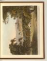 Aquatinten von Thomas und William Daniell mit Ansichten von Indien, Coaduwar Gaut, Inv. Nr.: En…